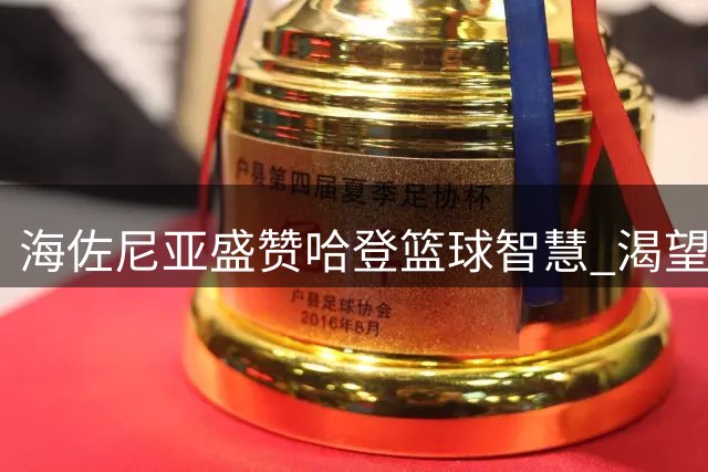 海佐尼亚盛赞哈登篮球智慧 渴望获得空位出手机会